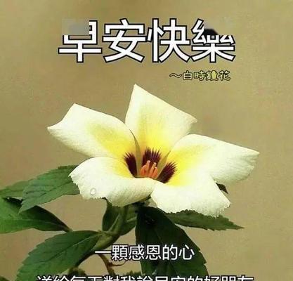 用唯美的语言给心爱的人送上早安问候（用唯美的语言给心爱的人送上早安问候）
