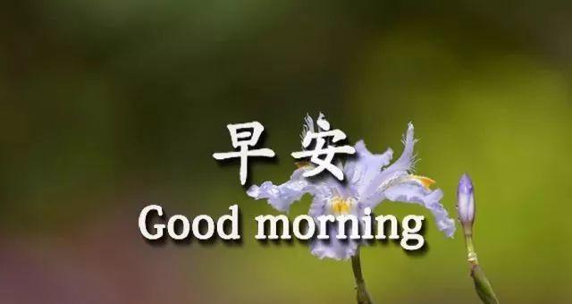 用唯美的语言给心爱的人送上早安问候（用唯美的语言给心爱的人送上早安问候）