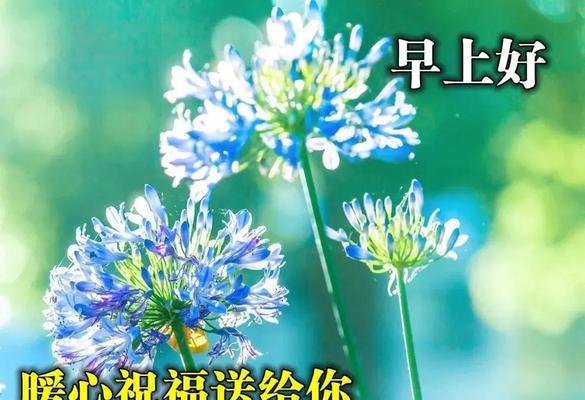 微信早安问候，温馨陪伴你我（小小问候）