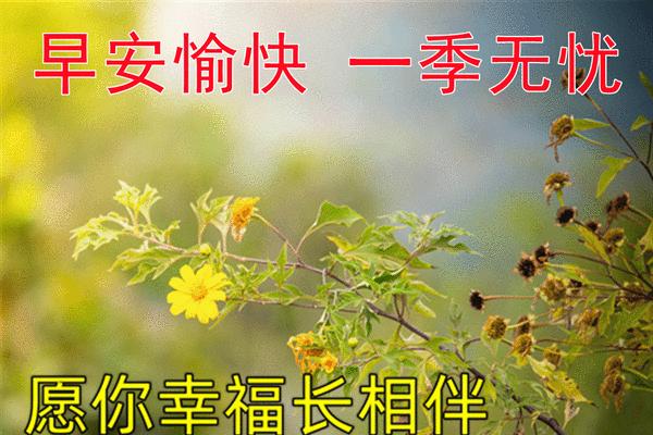 微信早安问候，温馨陪伴你我（小小问候）