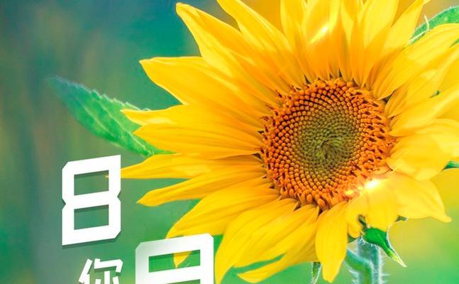 行走在时光的路上，珍惜每一份美好（行走在时光的路上）