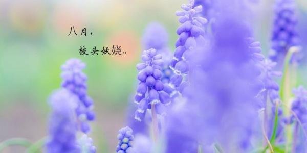行走在时光的路上，珍惜每一份美好（行走在时光的路上）
