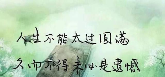 总结2024，留下经典朋友圈句子（记录美好）