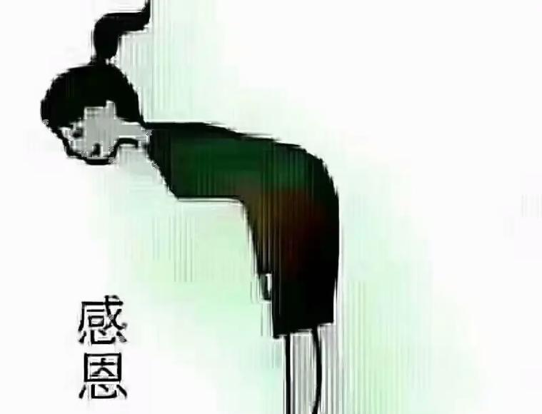 纷扰人心的抖音，总结2024句子（探寻唯美与真实的美好）