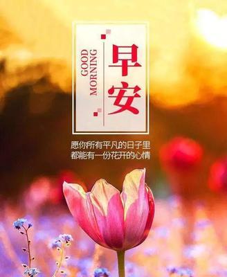 自信气质女人微信早安励志语（唯美短句）