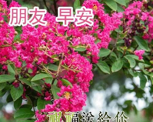 传递爱与希望（传递爱与希望）