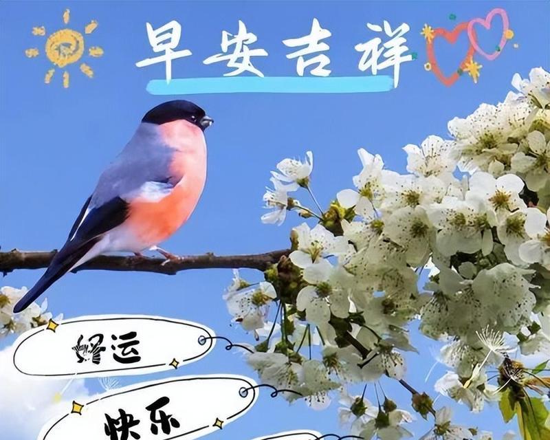 温暖流淌心间（温暖流淌心间）