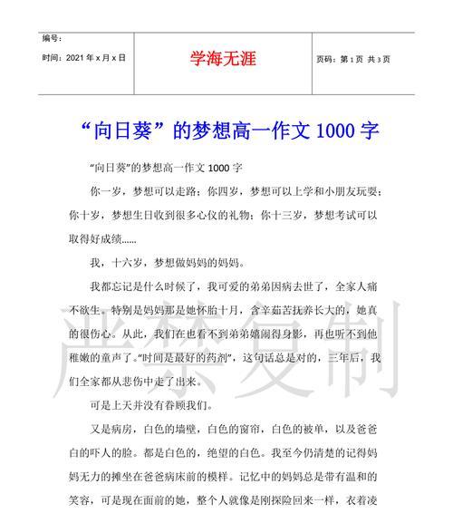 梦想的王国——一个关于坚持的故事
