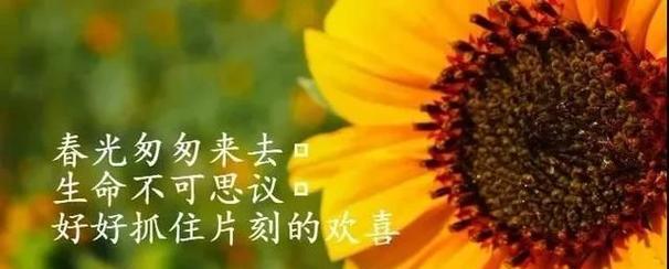 深夜感悟人生（唯美短句让你重拾心灵的美好）