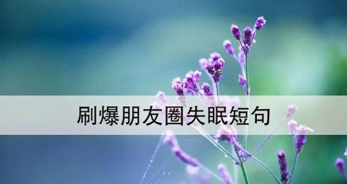 思维的流浪与静谧的夜（思维的流浪与静谧的夜）