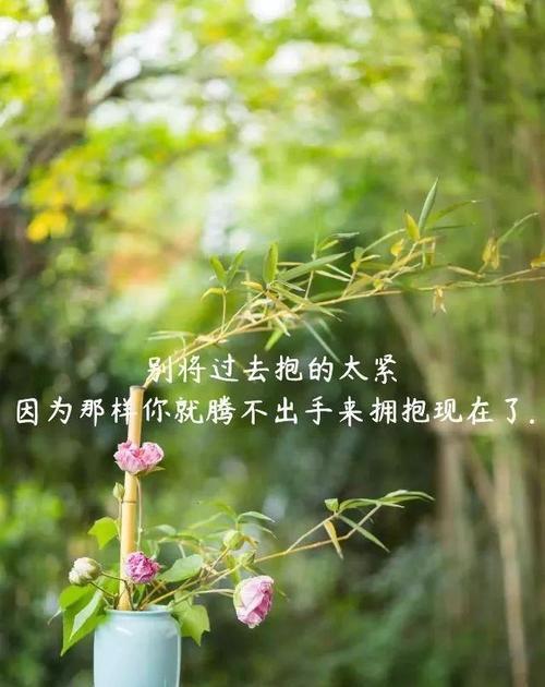 飘散的忧伤（经典伤感短句赏析）