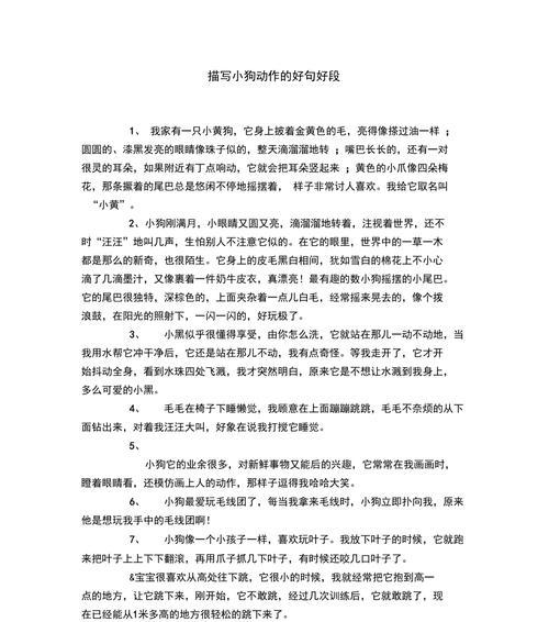 《善良的力量》