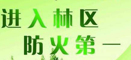 呵护绿色世界，防火从我做起（以森林防火顺口溜为引）