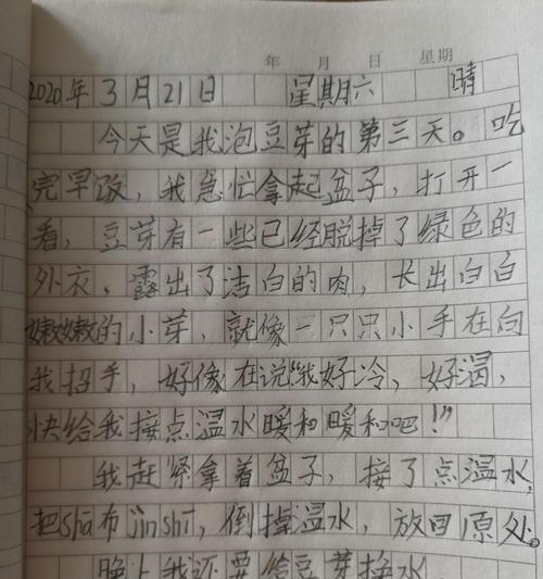 成长中的脚步——一个女孩的日记（从嫩芽到坚强）