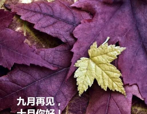 用诗意书写五月初一的美好（用诗意书写五月初一的美好）