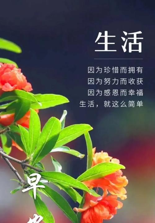 五月，收获春天的正能量（在阳光下）