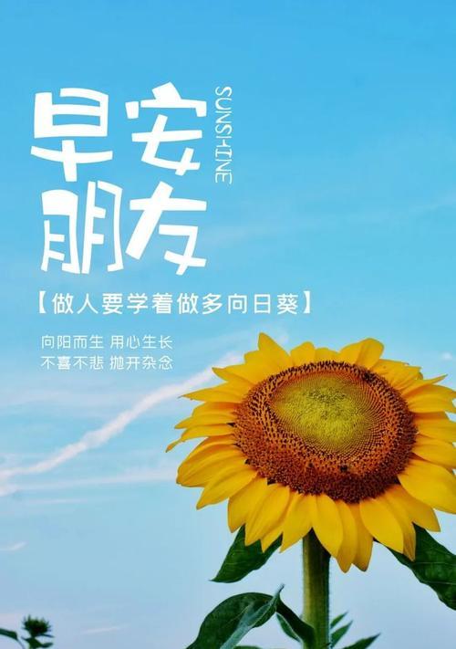 五月，收获春天的正能量（在阳光下）