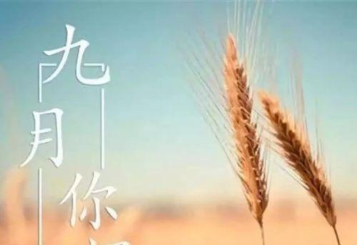 八月与九月，你好我也好（一份心情）