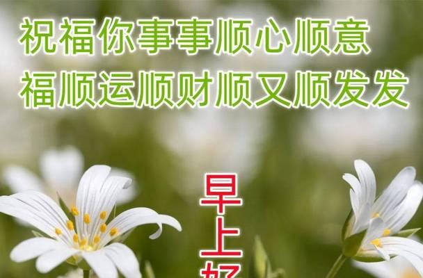早上好，世界（用一句简单的问候）