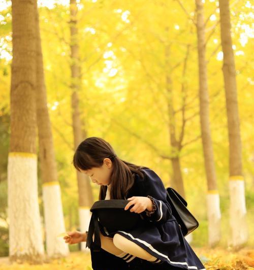 银杏树叶之谜