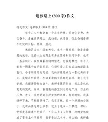 铸就人生路，以梦为航（一个追求梦想的助学生的故事）