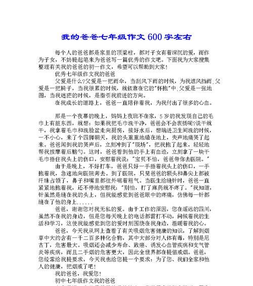 他是我的榜样，我的英雄（他是我的榜样）