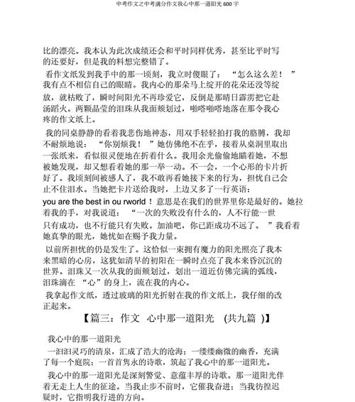 阳光里的温暖（一名少年的成长经历）
