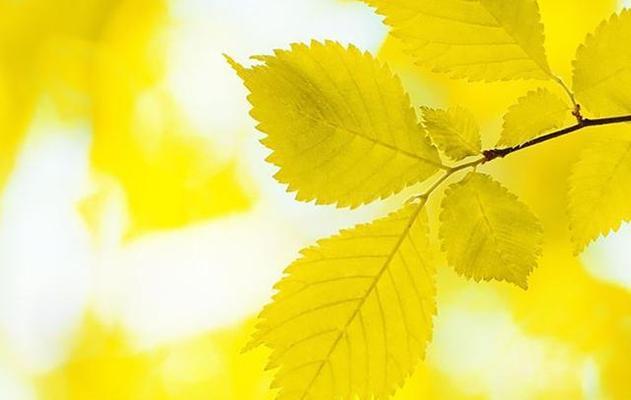 2023适合放暑假发的说说有哪些？如何挑选合适的说说内容？
