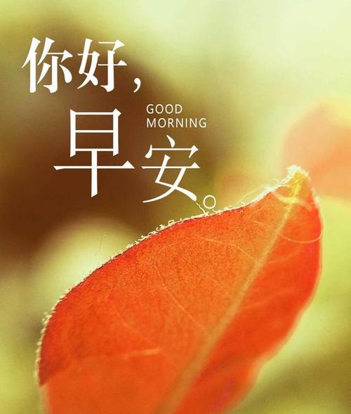 2023年励志早安心语有哪些？如何挑选适合发朋友圈的励志早安心语？