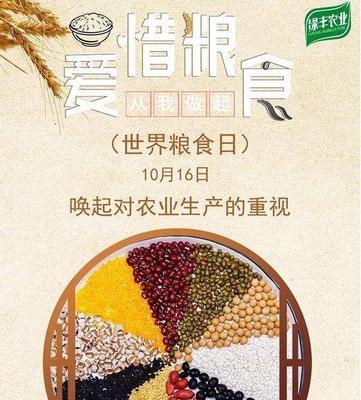 2023世界粮食日的宣传警示标语是什么？如何有效传达粮食安全的重要性？