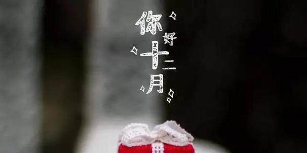 2023十一月你好朋友圈心情说说怎么发？有哪些创意表达方式？