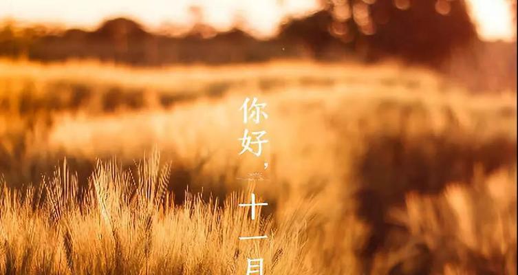 2023十一月的朋友圈句子有哪些？如何挑选适合的句子分享？