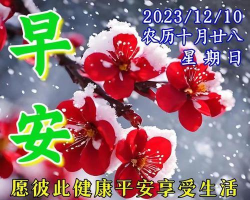 2023十二月问候语有哪些？如何选择合适的节日祝福语？