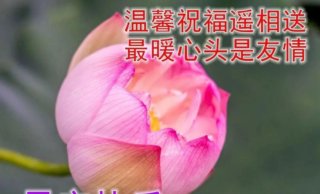 2023生日寄语唯美说说短句有哪些？如何选择适合的生日祝福语？