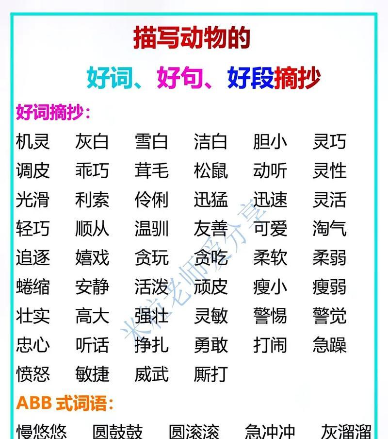 2023三年级好句好段精选怎么找？精选好句好段的写作技巧是什么？