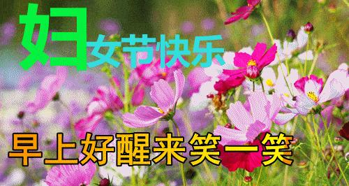 2023年三八妇女节如何用唯美句子表达祝福？有哪些推荐的句子？