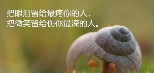 2023年有哪些人生感悟洒脱的句子简短？如何在日常生活中应用？