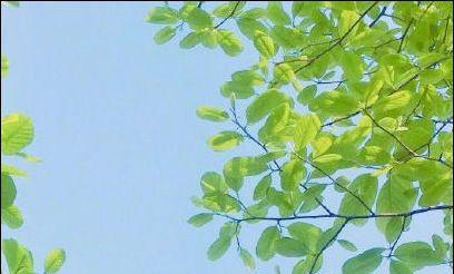 秋天微信朋友圈说说怎么写？有哪些热门话题？