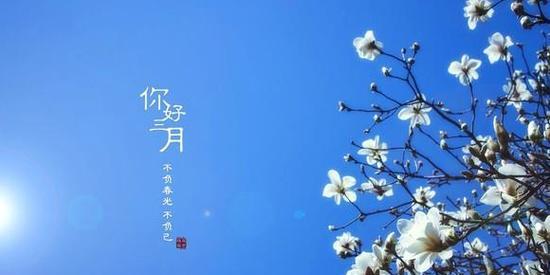 三月你好朋友圈好句句子怎么找？分享哪些句子最受欢迎？