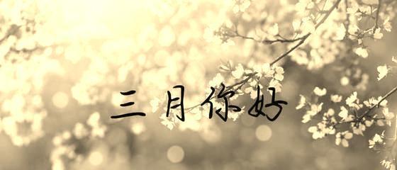 三月你好朋友圈好句句子怎么找？分享哪些句子最受欢迎？