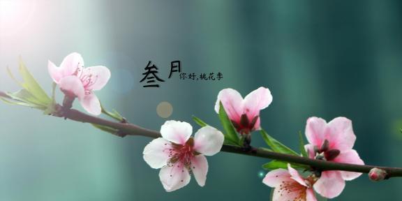 三月你好朋友圈心情好句160句有哪些？如何挑选适合自己的？