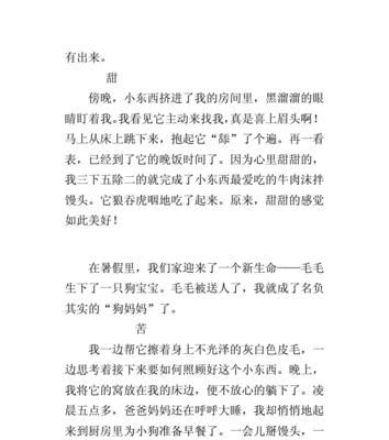 小狗的冒险之旅（一只勇敢的小狗闯荡世界）