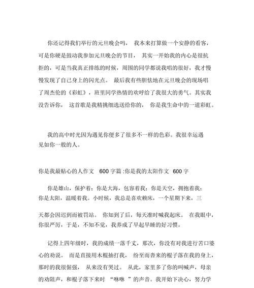 我的小伙伴（一只导盲犬的故事）