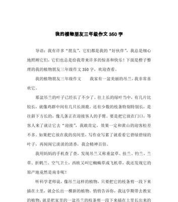 《惊喜》（遇见她）