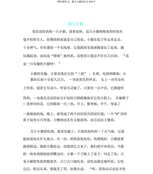 小猫的奇遇记（两只小猫的惊险冒险之旅）