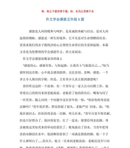向生命致敬（2024年）