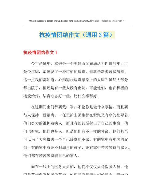 团结的力量（一群年轻人的故事）