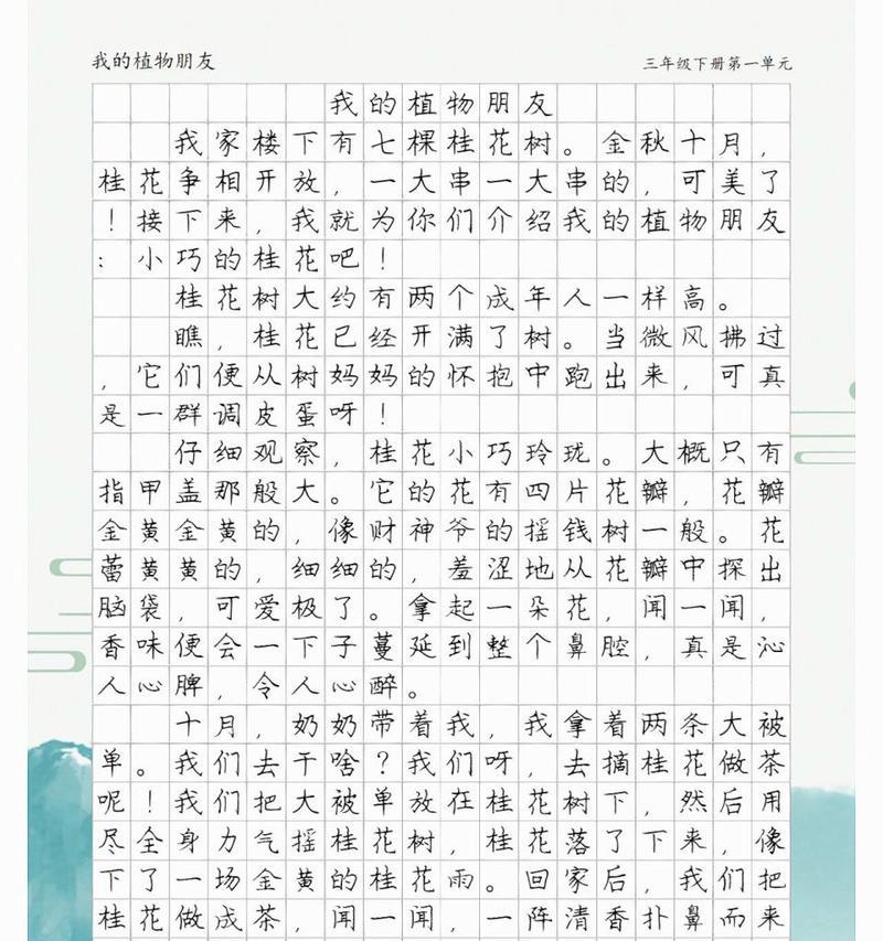 我的植物朋友