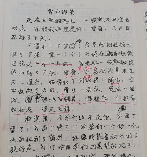 南方雪怡人——一场别样的冬日演出（银装素裹的城市，生命中最珍贵的瞬间）