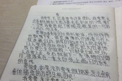 南方雪怡人——一场别样的冬日演出（银装素裹的城市，生命中最珍贵的瞬间）